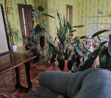 Частный дом престарелых в Харькове